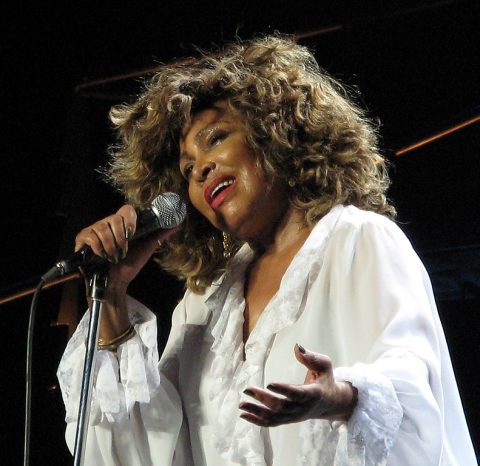 Tina Turner. Image credit: Philip Spittle