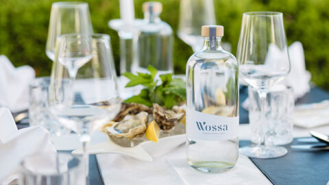 Wossa Crowned Best Premium Water in Austria by Luxury Lifestyle Awards